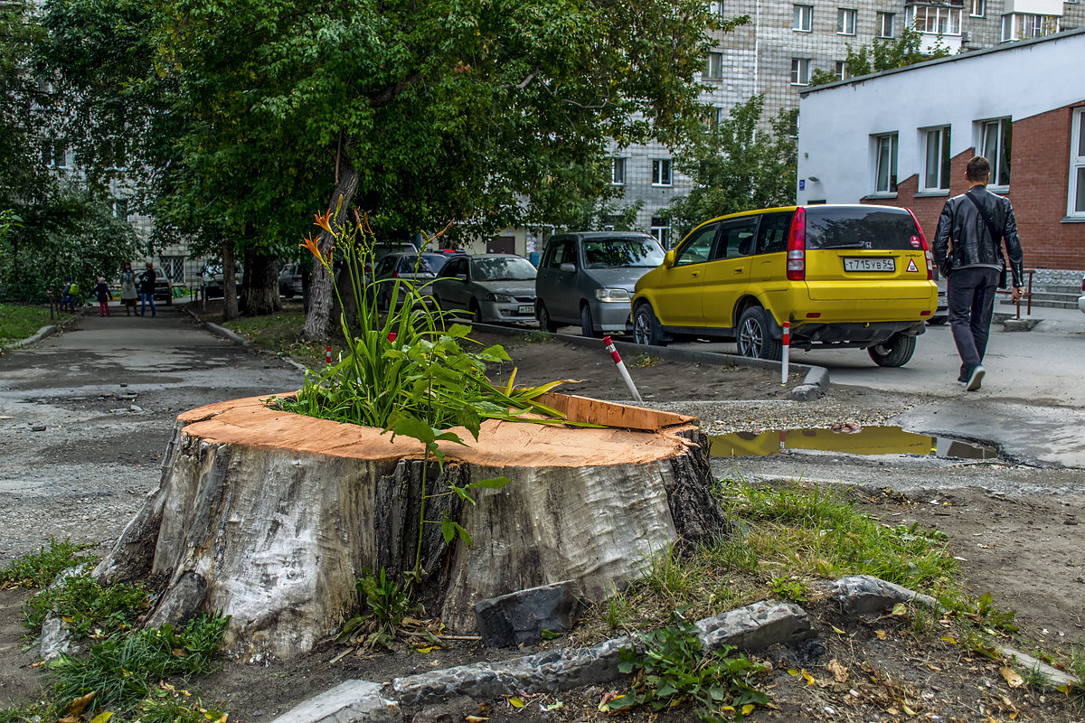 Городские зарисовки - Sergey Kuznetcov