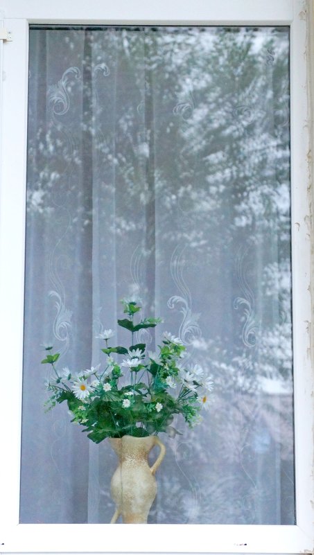 Цветок в окне - Алексей Медведев