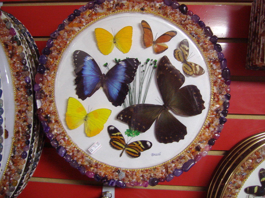 Экзотические бабочки залитые эпокситной смолой 1 - Анна 