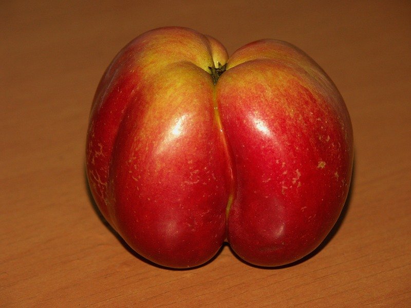 Адамово яблоко - muh5257 
