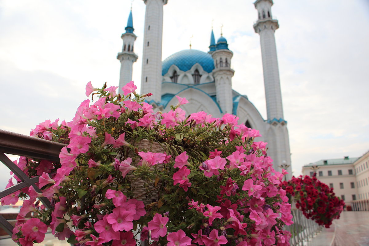 Цветы у мечети - Станислав Соколов