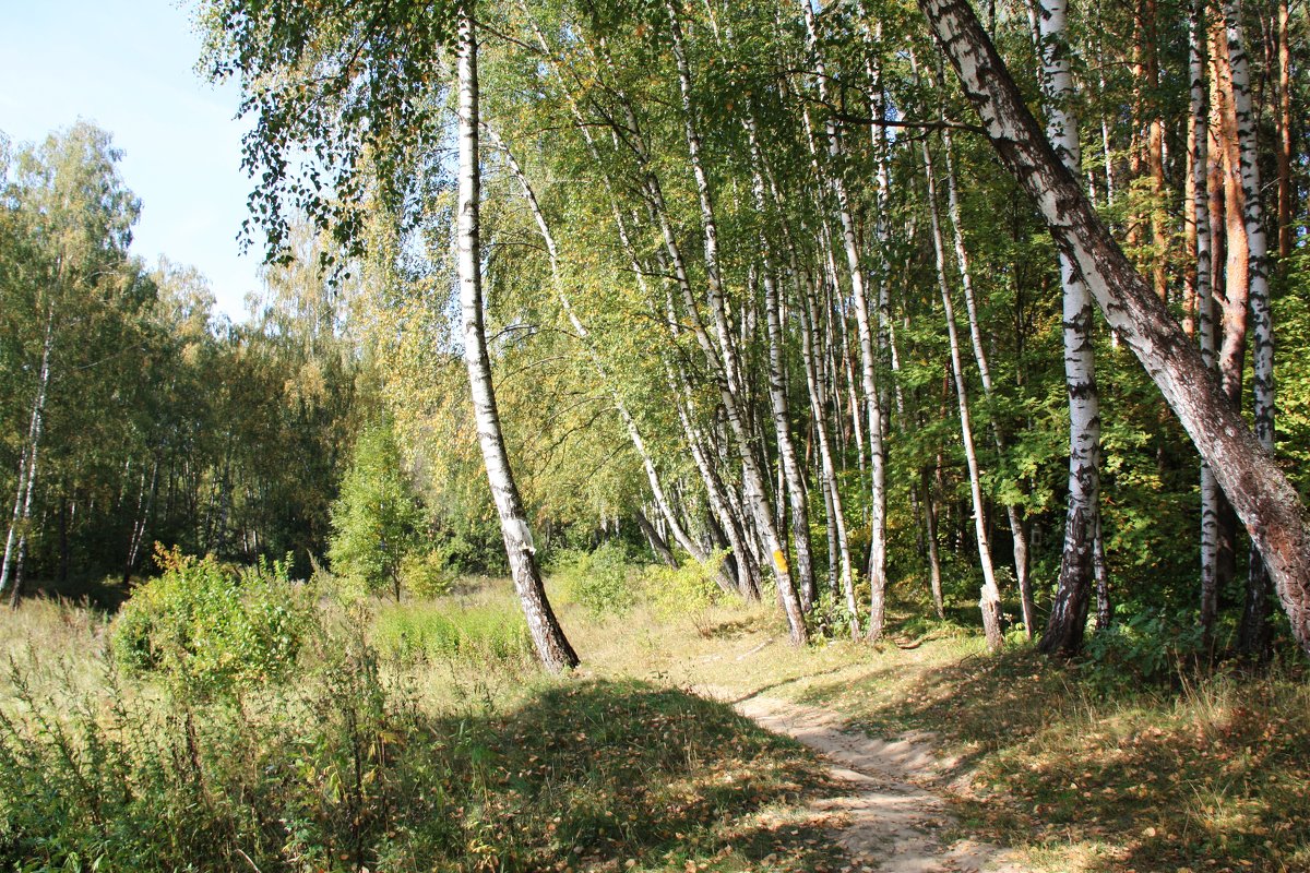 Осень - Владимир Холодницкий