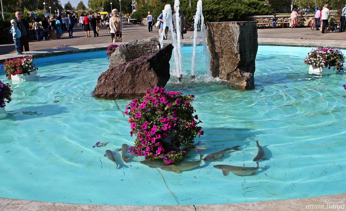 Рыба в городском фонтане - Лидия (naum.lidiya)