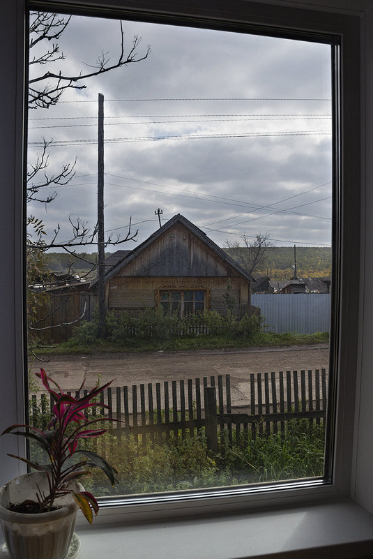 Из окна - Андрей Елисеев