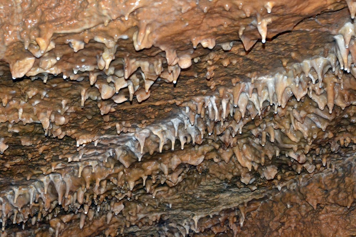 Конепрусские пещеры - zhanna-zakutnaya З.