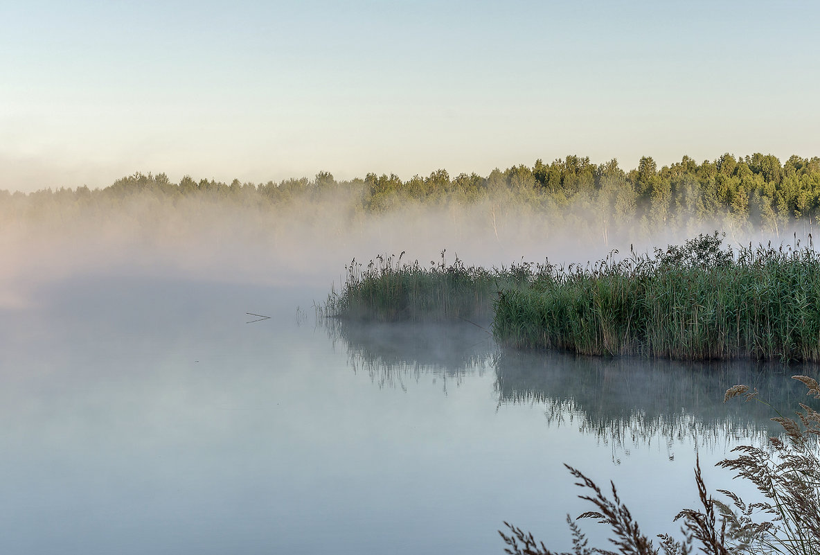 Туман над озером - Эдуард Пиолий