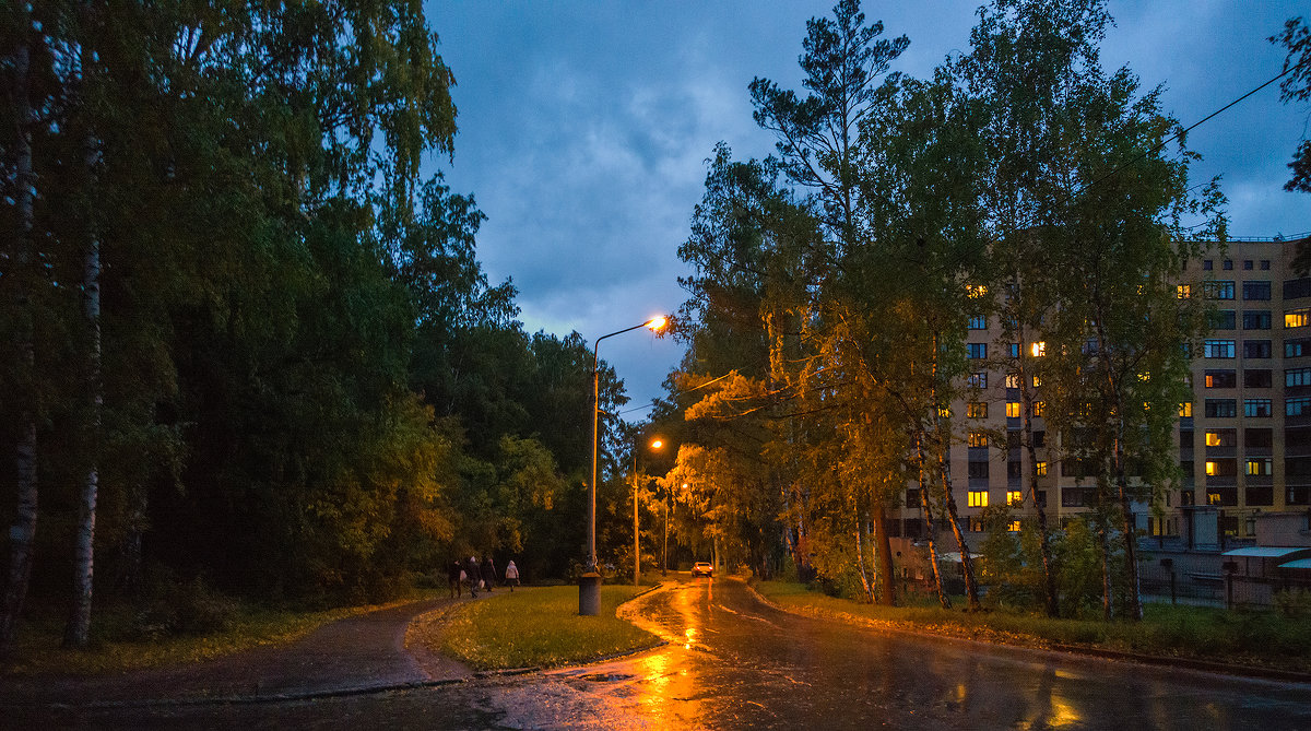 Осень. Вечерний Академгородок. Nokia Lumia 1020 - Vadim Piottukh 