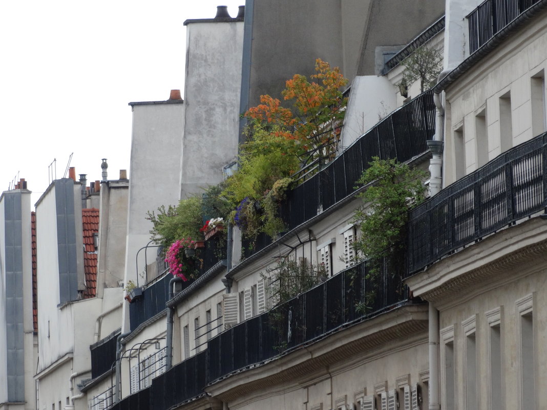 Балконы Парижа - Светлана Лысенко