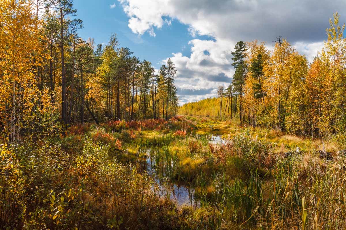 Палитра осени - Георгий Кулаковский