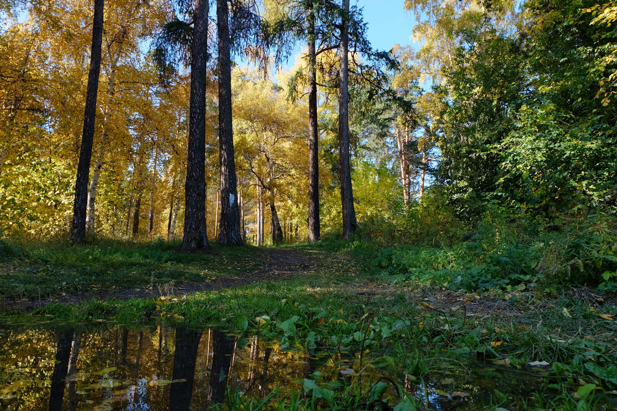 В парке. - Rafael 