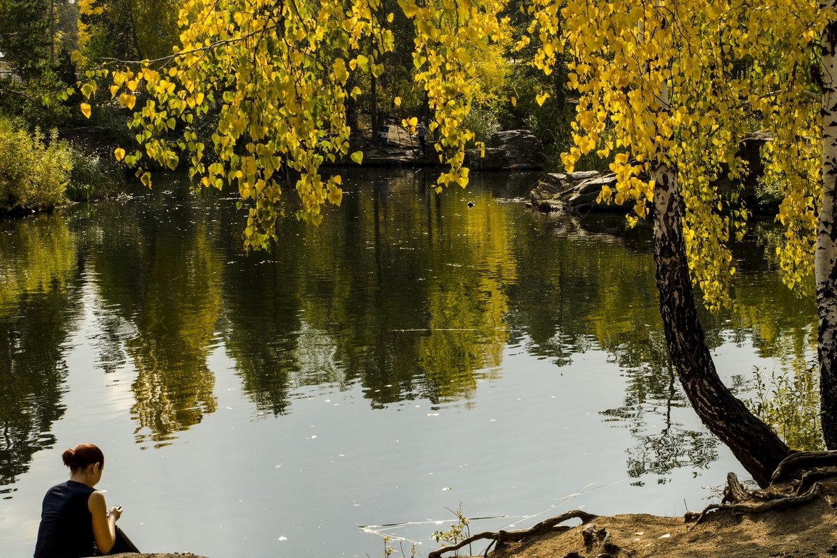 Autumn on the pond - Dmitry Ozersky