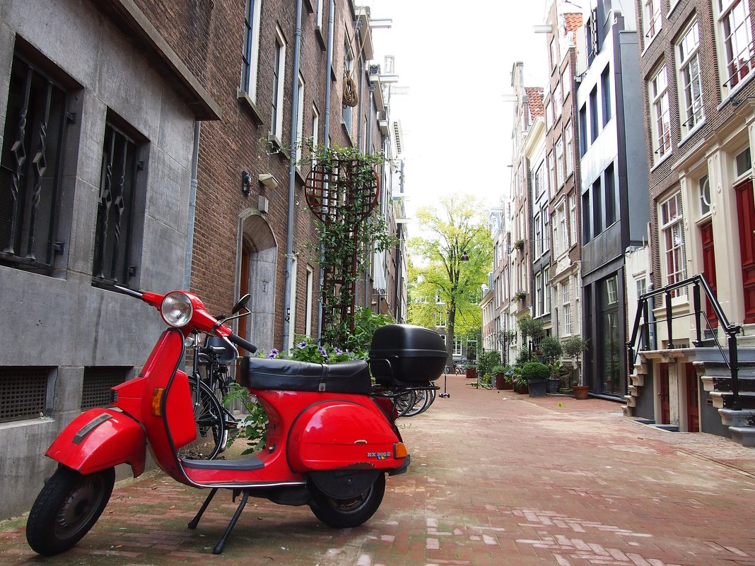 Амстердам - Машенька _________