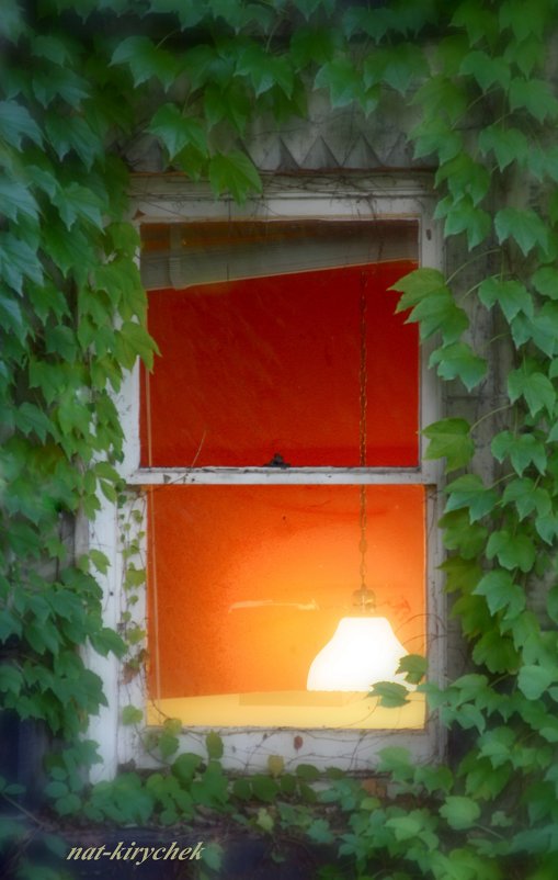 Свет в окне - Natalia Kyrychek 