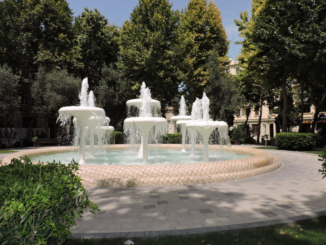 фонтан - Алёна Закатченко