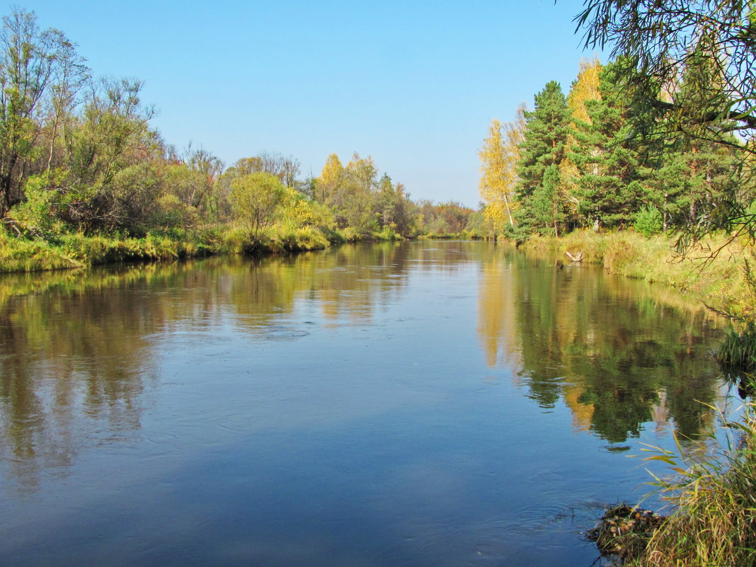 Река и осень - Yury Kuzmič