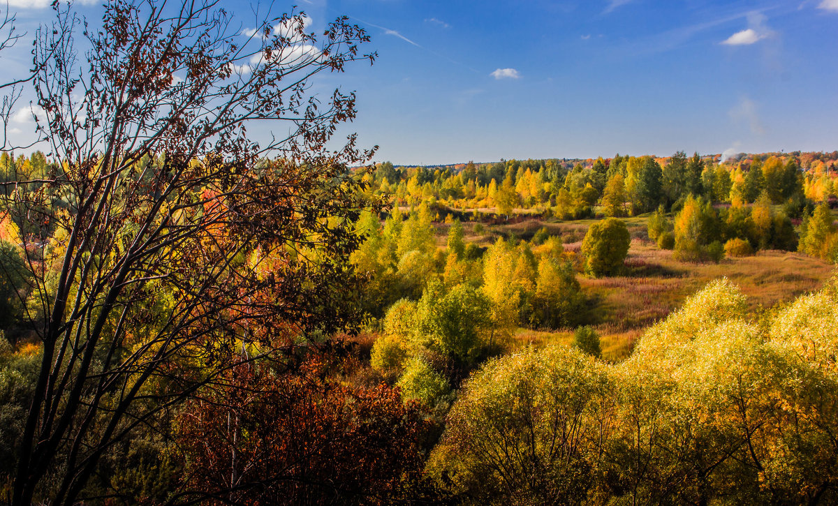 Осенний пейзаж - Владимир Буравкин