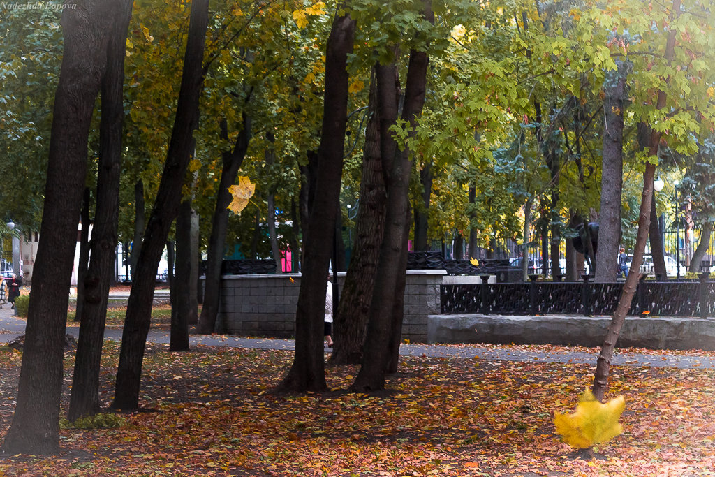 листья желтые над городом.... - Надежда Попова