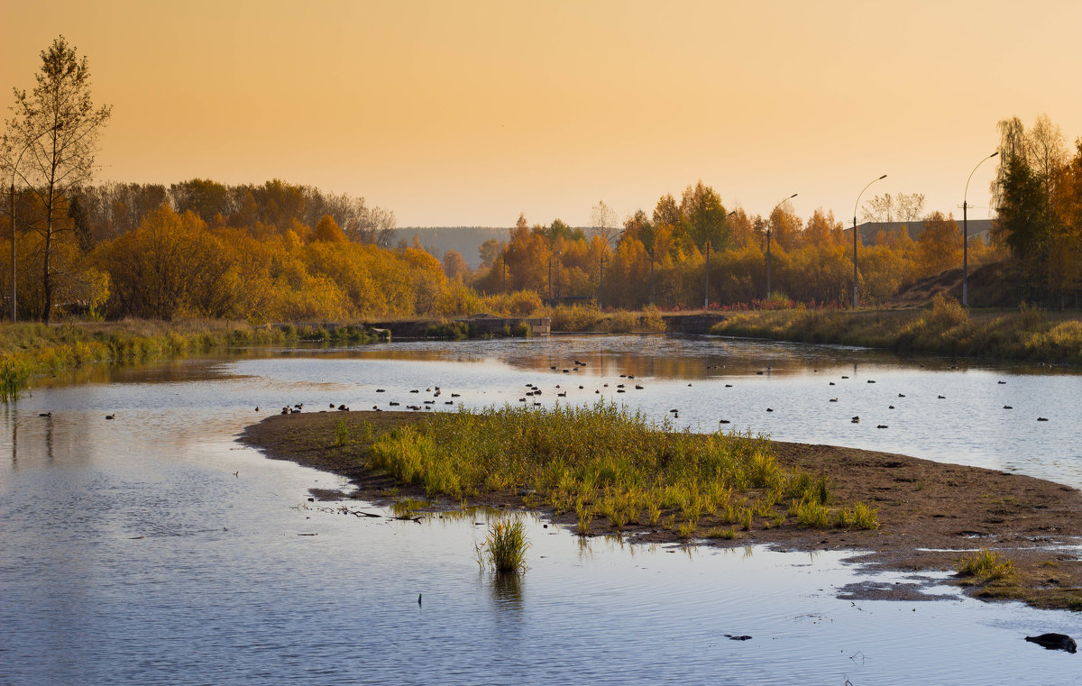 Осень в парке - Наталья Отраковская