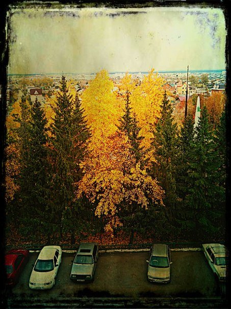 Осень - Ольга Клевцова