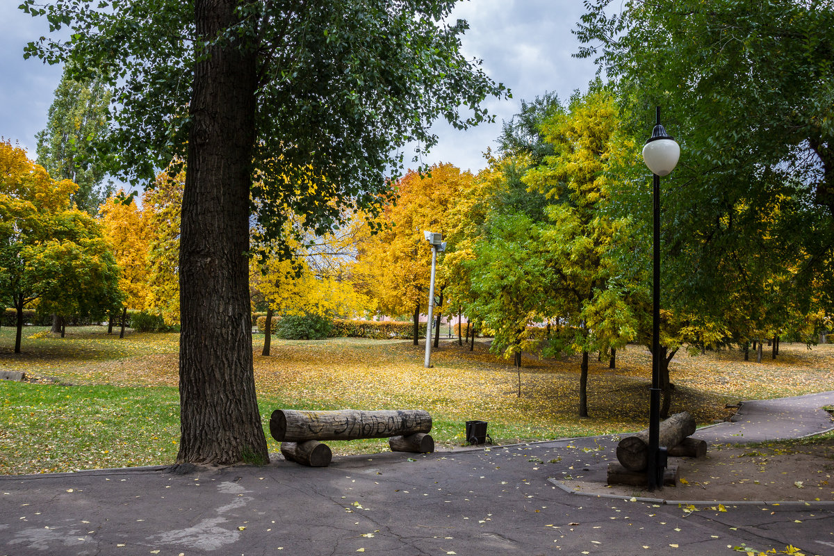 Осенний парк - Валерьян 