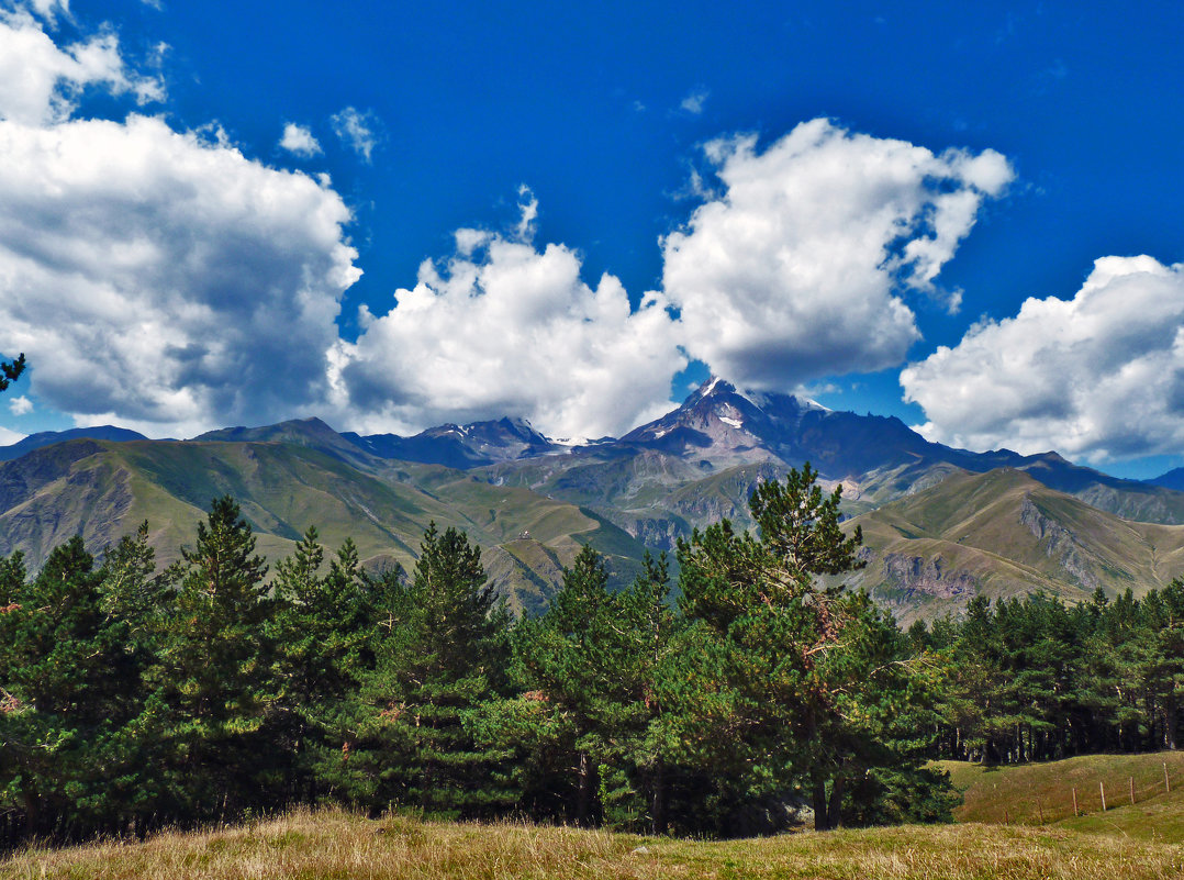 В горах кавказа - Наталья (D.Nat@lia)