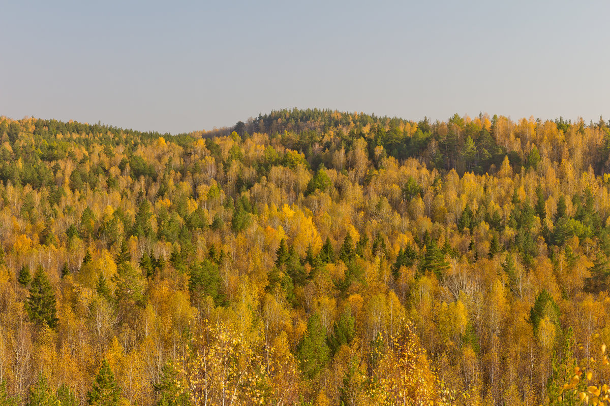 *** - Павел 