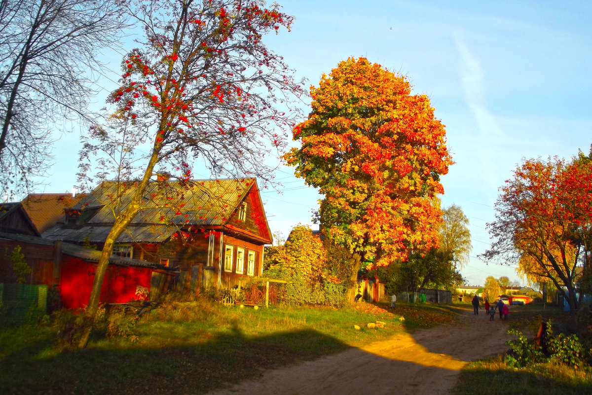 городские улицы - Сергей Кочнев