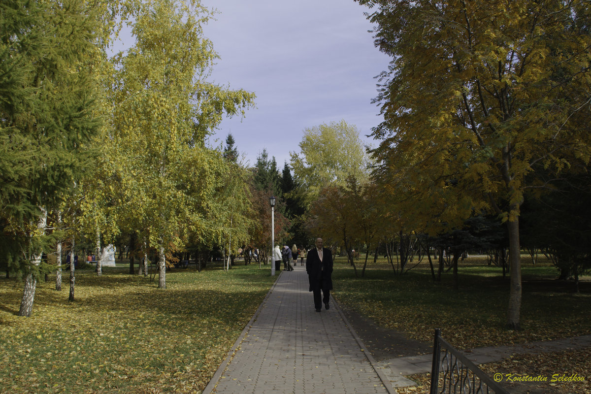 Осенний парк - Константин Селедков