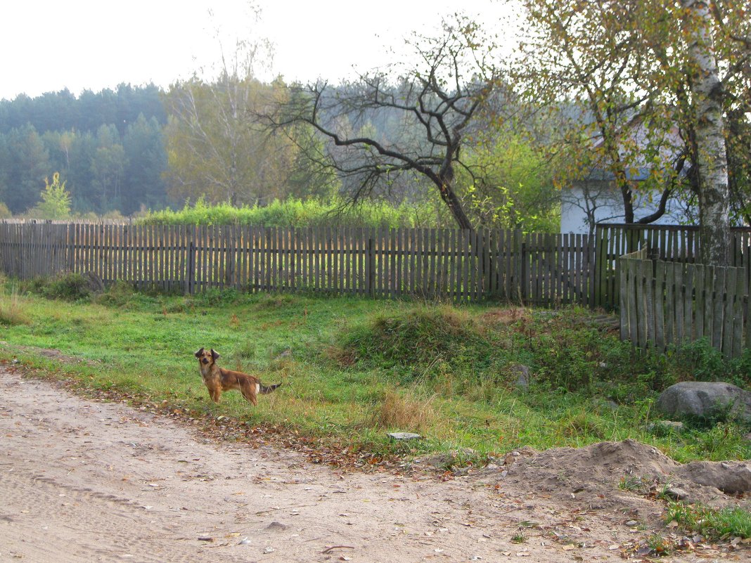 На хуторе - Леонид Корейба