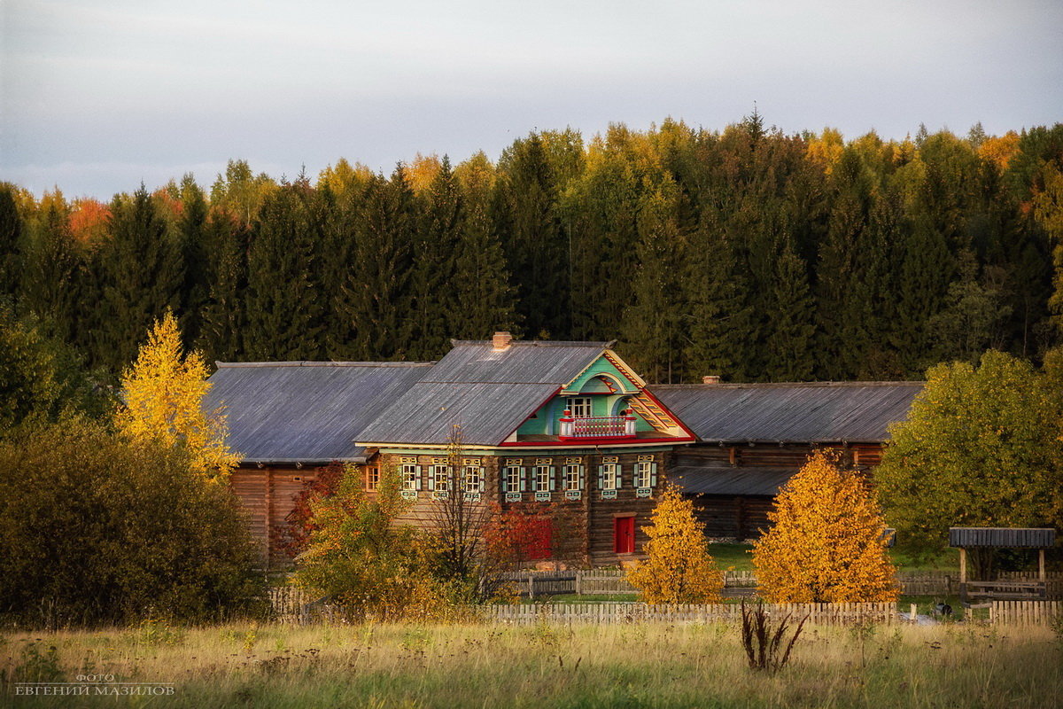 Деревня Семенково Вологодской области осень