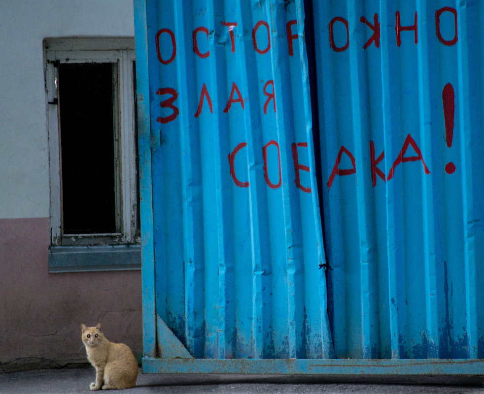 Злая собака - Александр Ладыгин