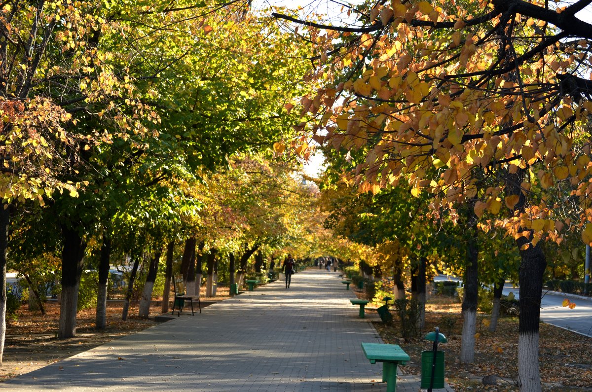 Осень в городе - Marina Timoveewa