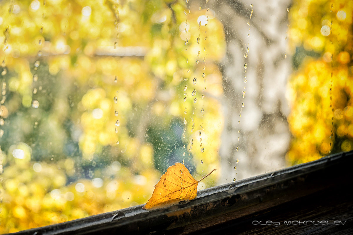 Осень за окном - Олег Мокрушев
