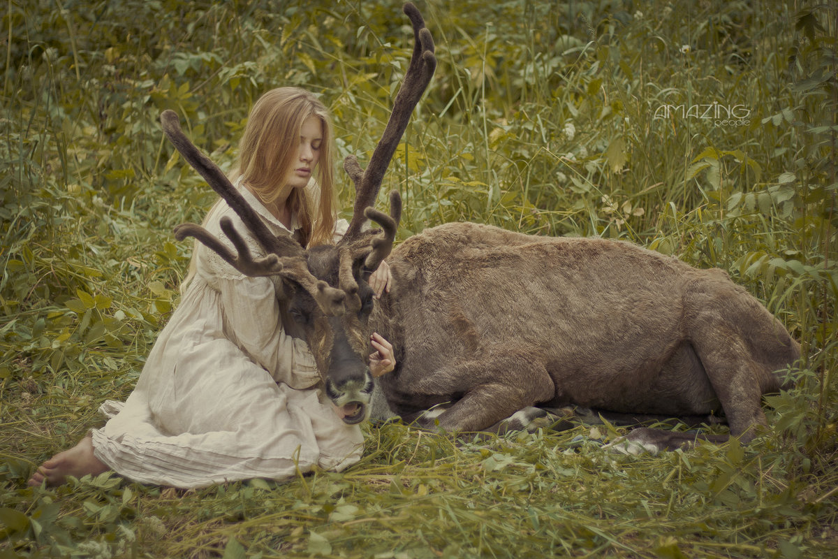 Forest dwellers - Евгения Касьяненко