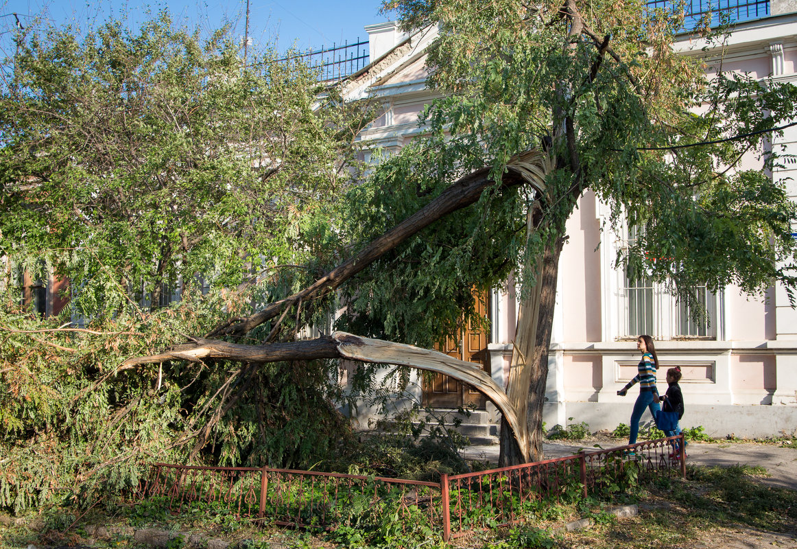 После урагана - Сергей Тимченко