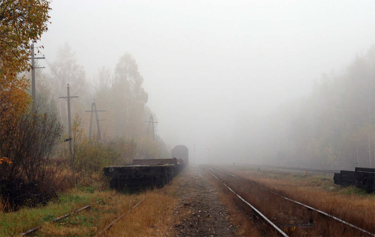 Осенний туман - Юрий Савинский
