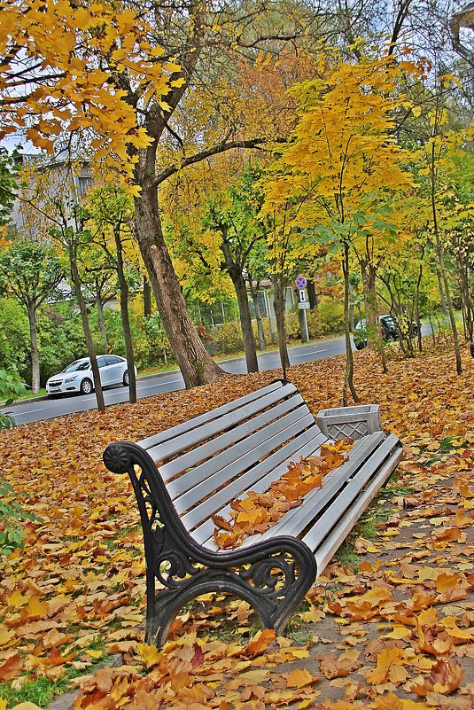 Присела осень на скамейку..... - Tatiana Markova
