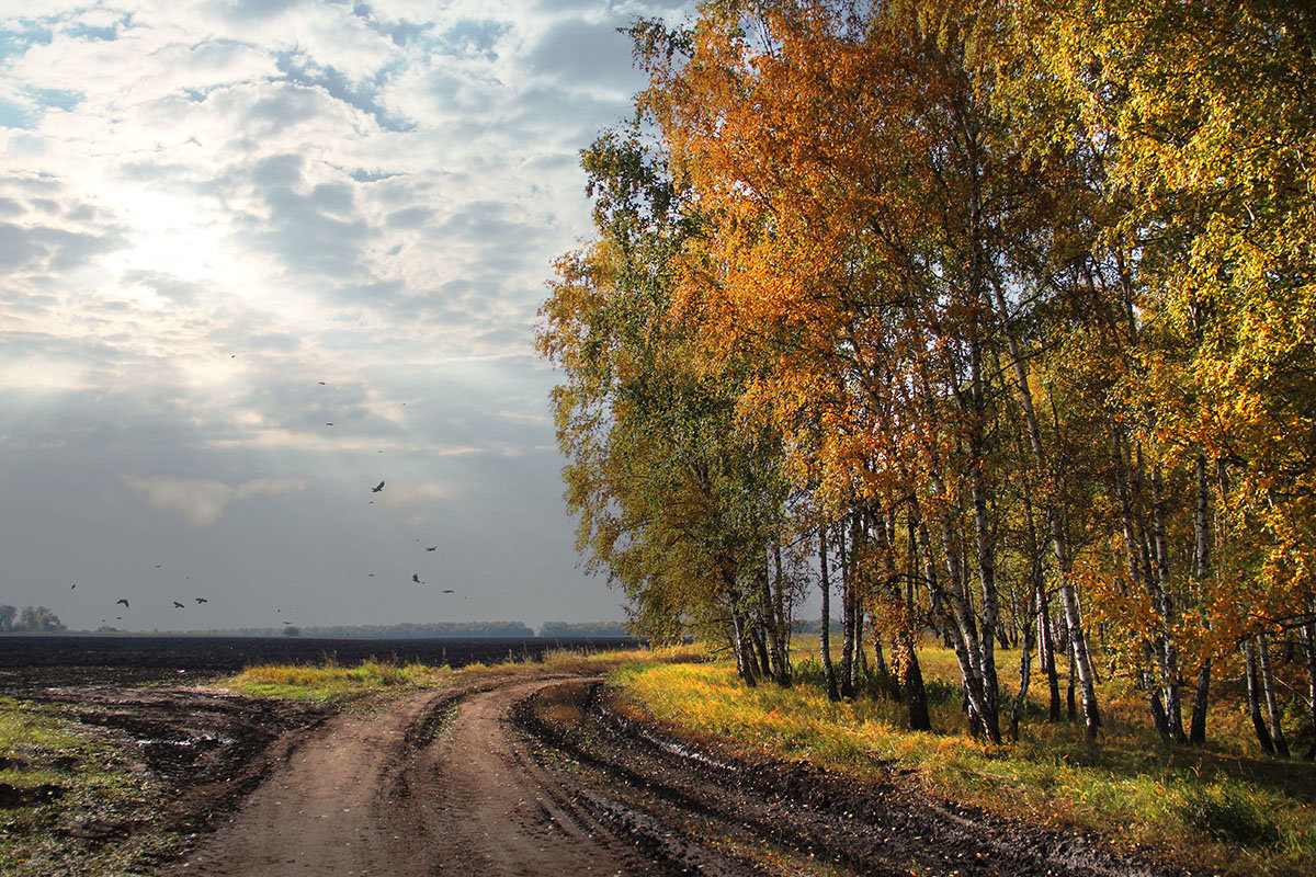 ОСЕНЬ - Александр Шадраков