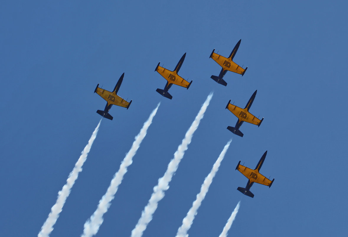 Пилотажная группа «Русь», Aero L-39 Albatros - Андрей Lyz