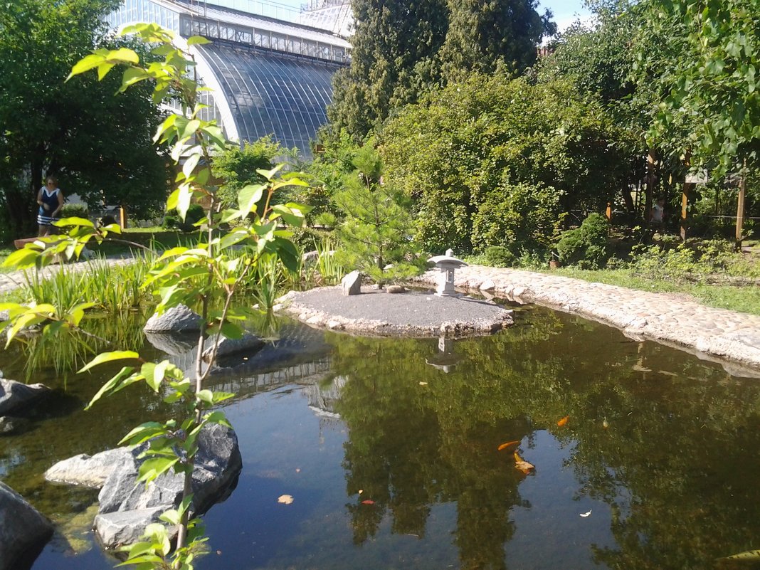 Японский уголок  ботанического сада - Виктор Елисеев