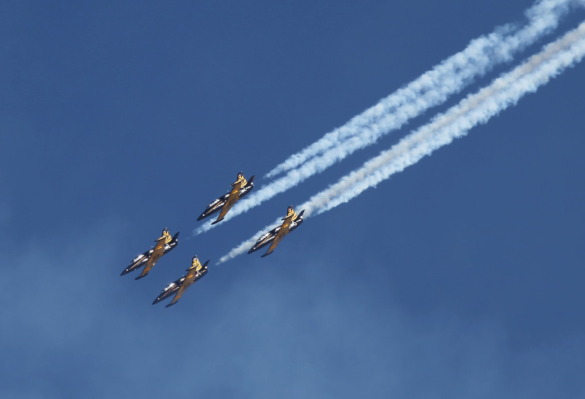 Пилотажная группа «Русь», Aero L-39 Albatros - Андрей Lyz