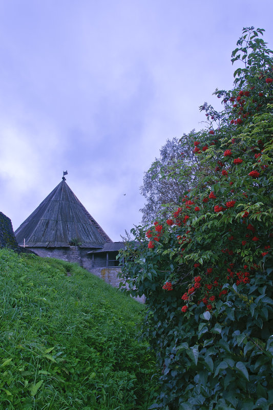 Старая крепость на реке Волхов - NikOl .