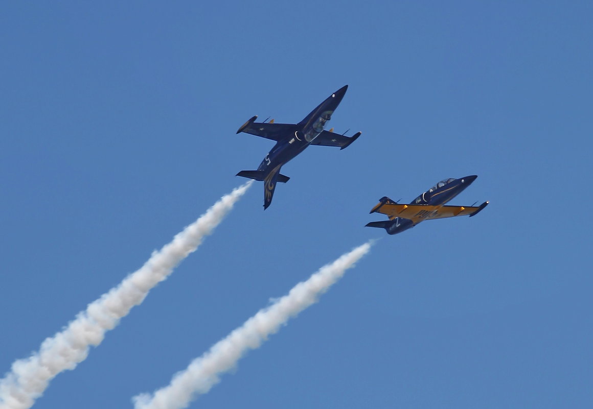 Пилотажная группа «Русь», Aero L-39 Albatros - Андрей Lyz