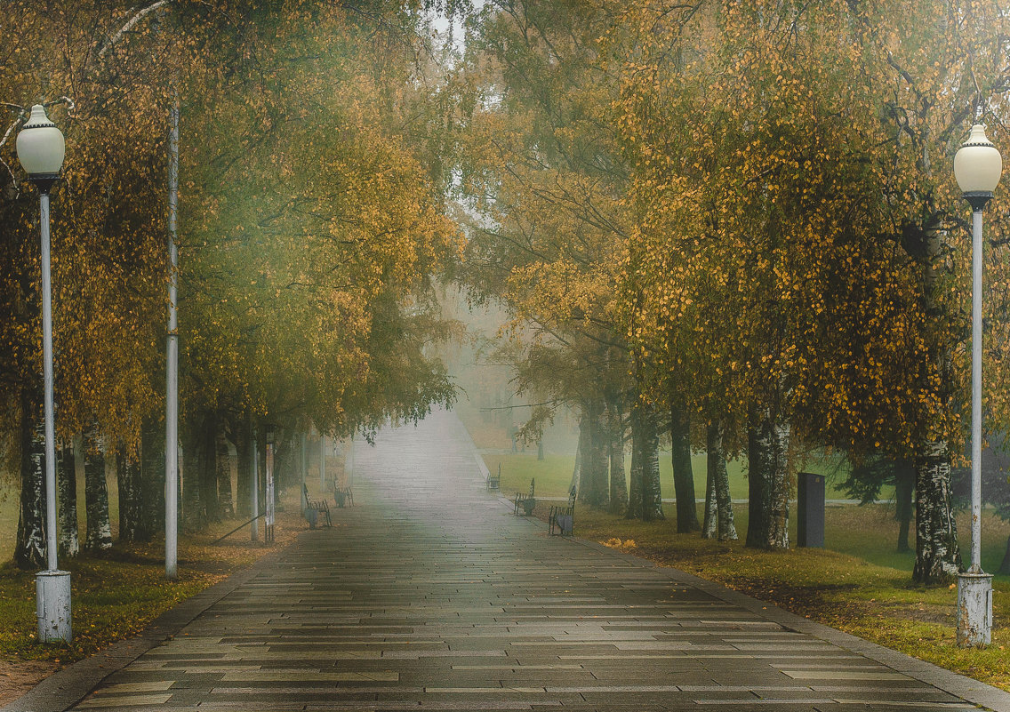 Туманное утро в парке - Oxana Schneider