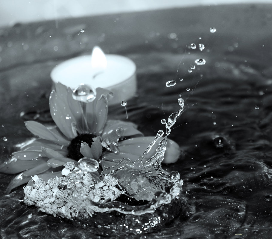 candle and flowers in water drops - Halyna Hnativ