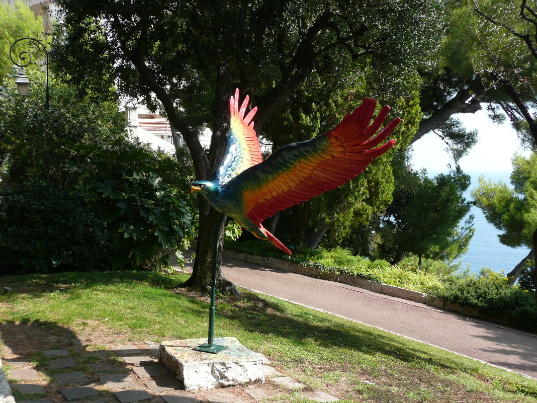 Птица в садике Монако - Natalia Mixa 