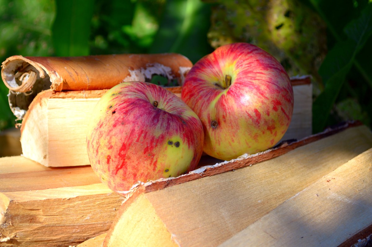 Яблоки на дровах - Kov66 