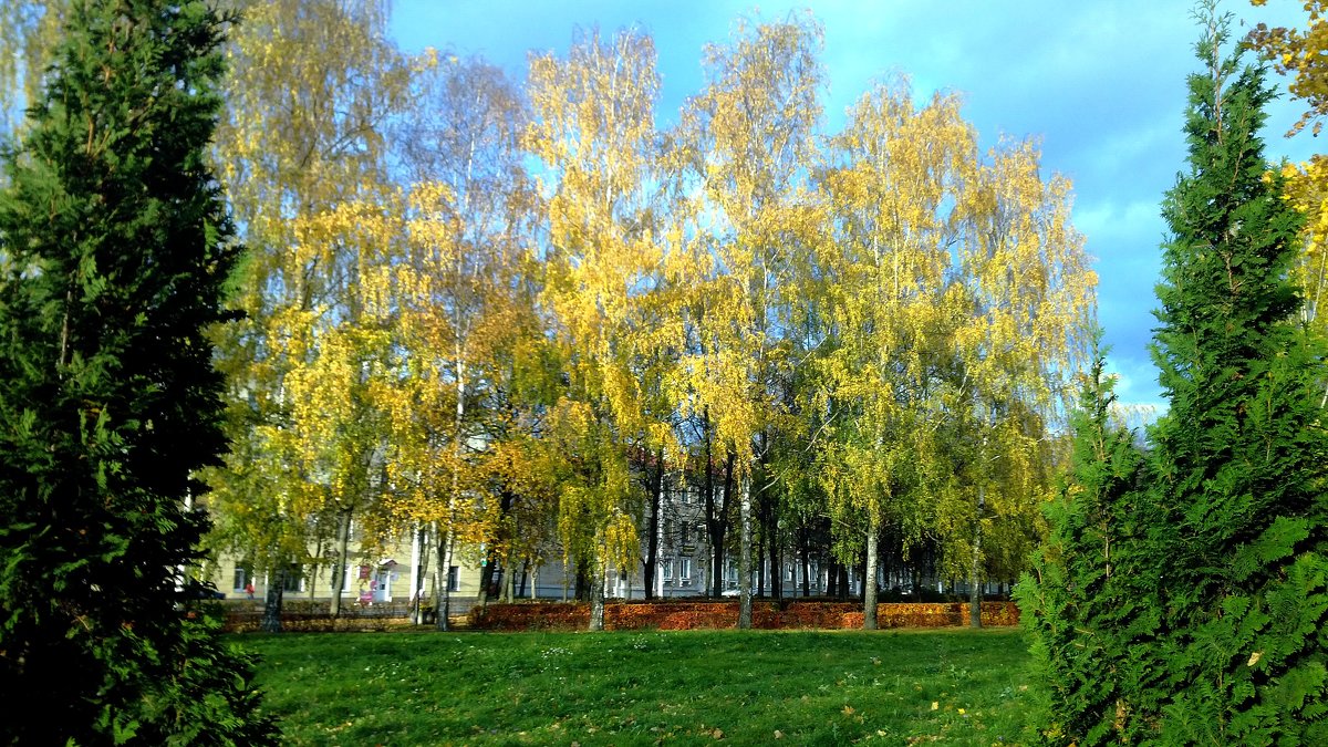 Осенние краски - Мария Т