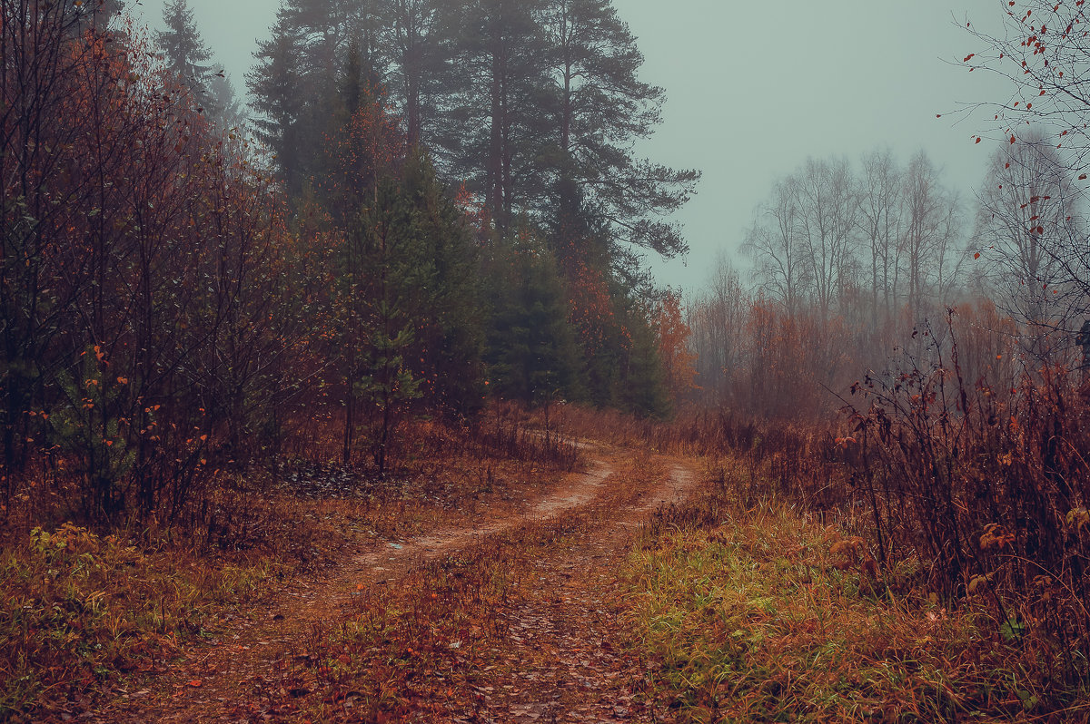 Осень в лесу... - Федор Кованский