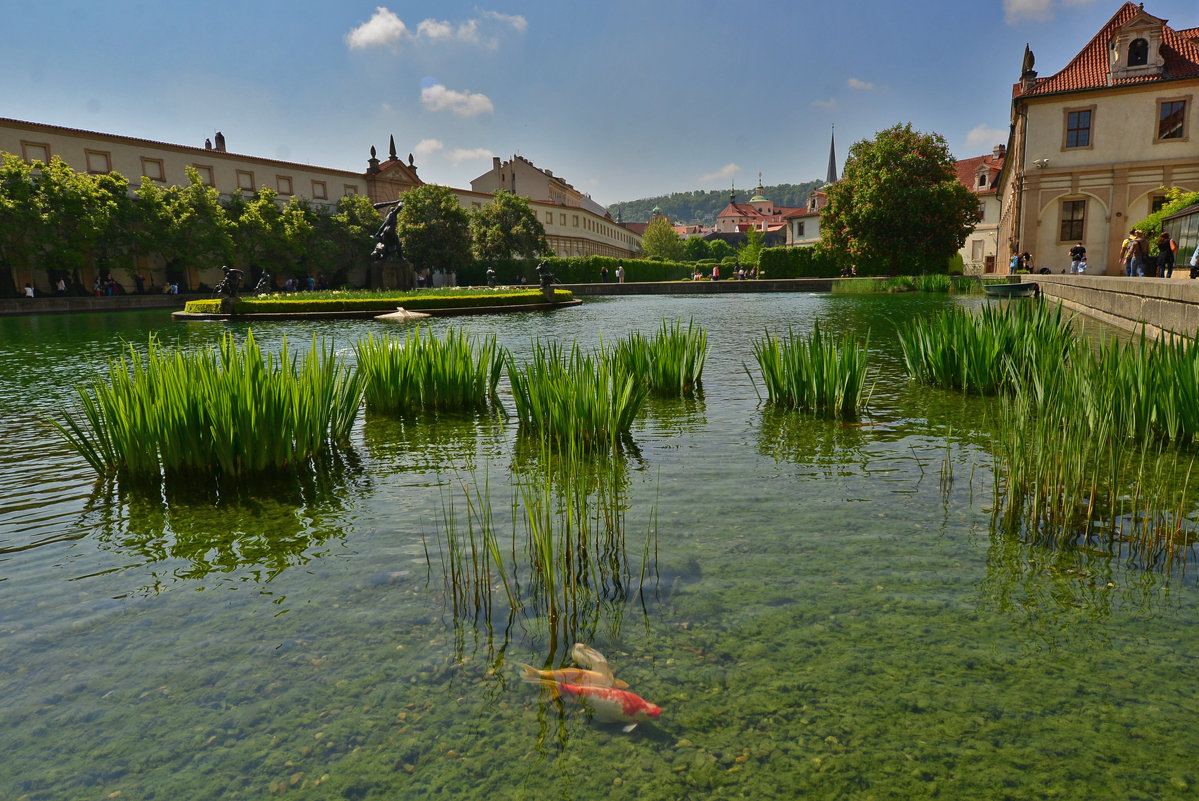 Praha - Nina sofronova